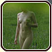 Sexy nudist walking on the grass