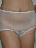 fully nylon panties